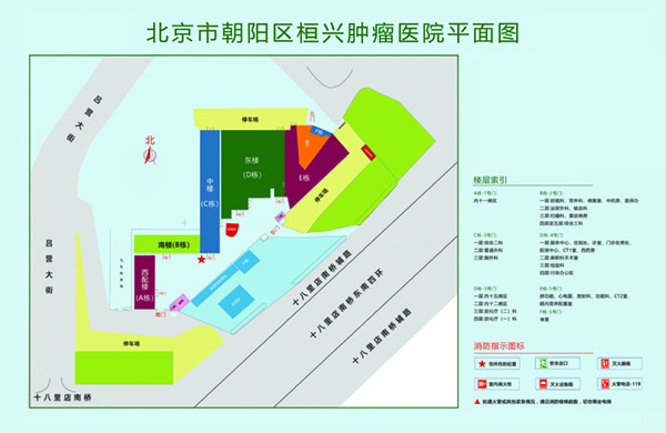 白虎鸡巴操逼北京市朝阳区桓兴肿瘤医院平面图